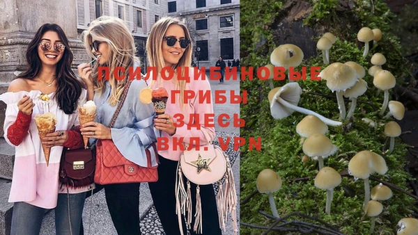 винт Алексеевка