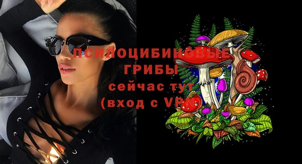 винт Алексеевка