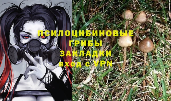 Альфа ПВП Алзамай