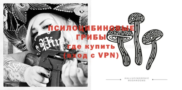 винт Алексеевка